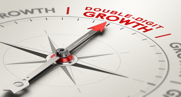 Image showcasing A Strategic Guide to Double-Digit Revenue Growth